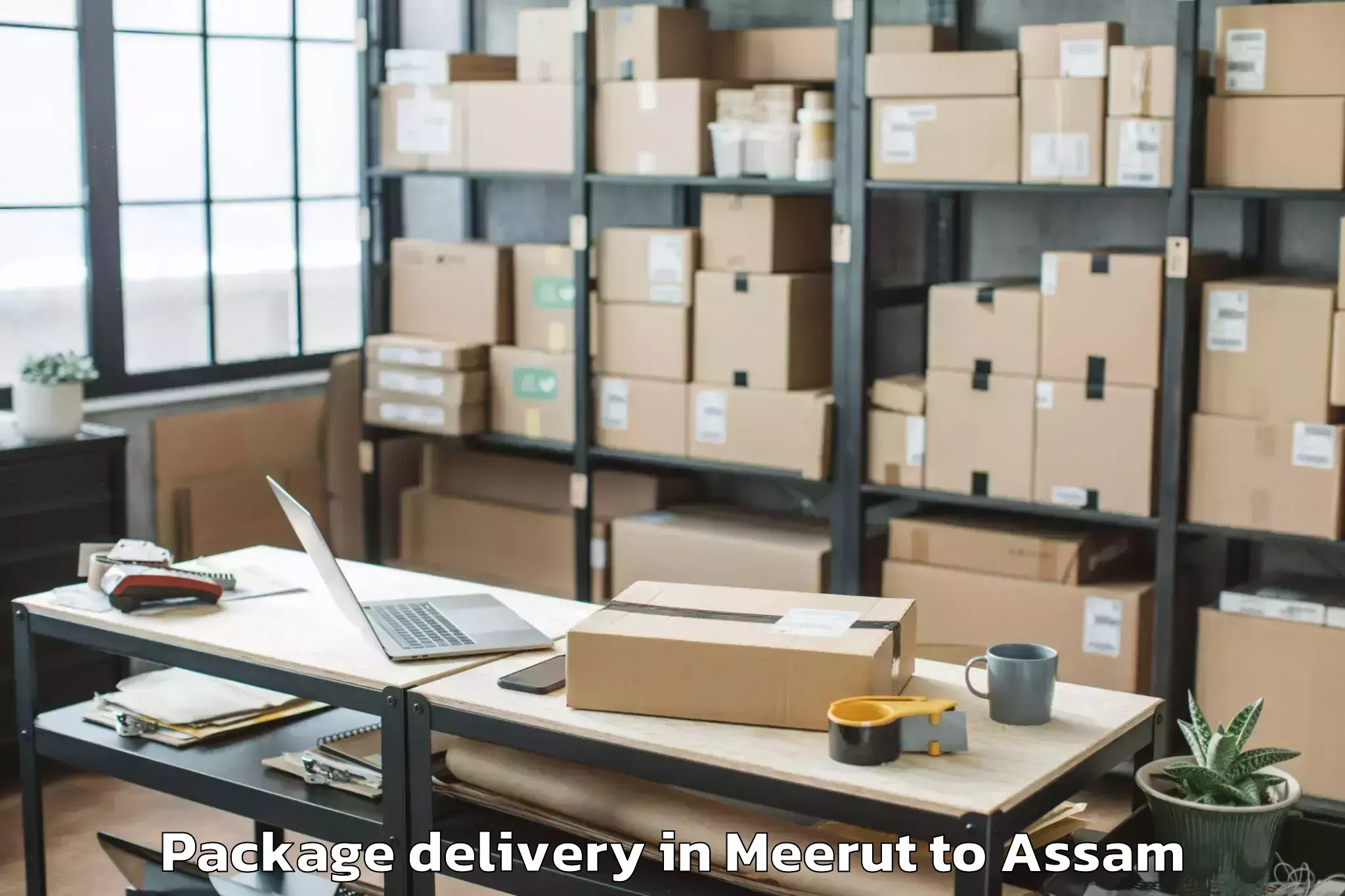 Reliable Meerut to Golaghat Package Delivery